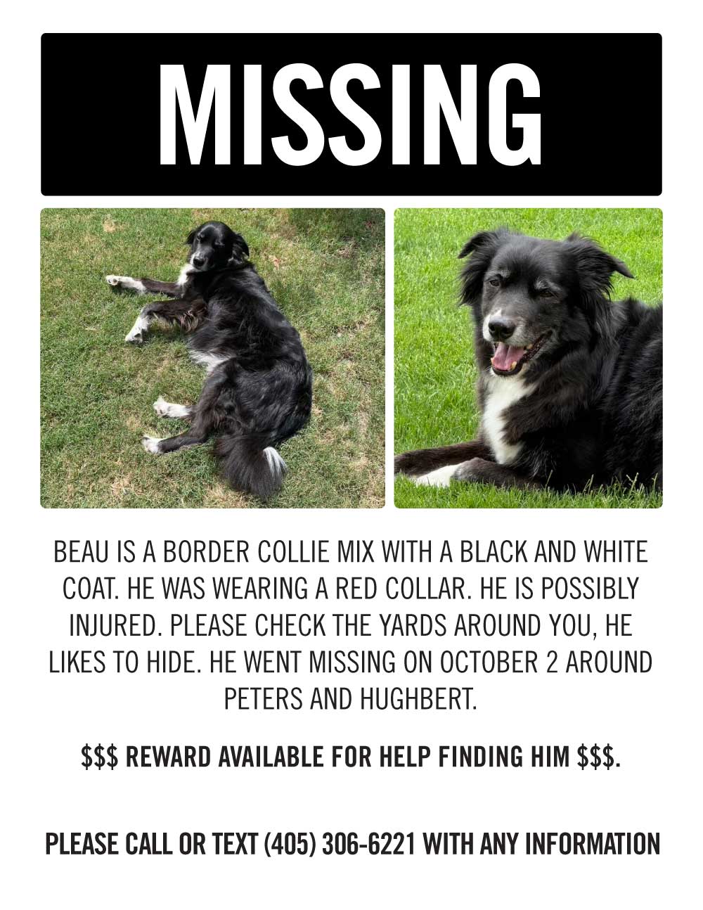 Beau is Missing